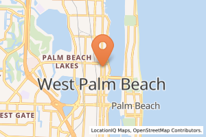 The Palm Beach Institute